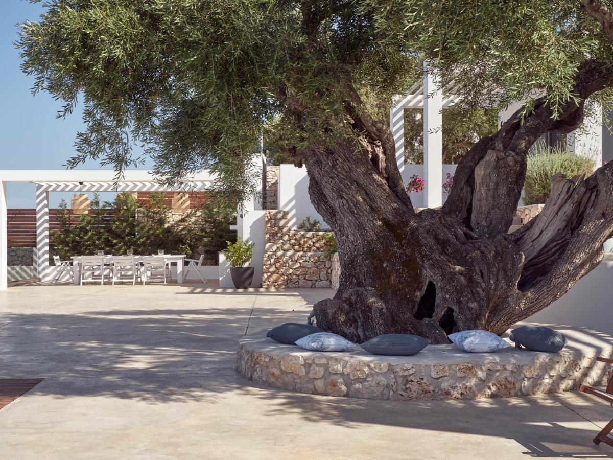 אגיוס ניקולאוס Panoplagia Villa מראה חיצוני תמונה
